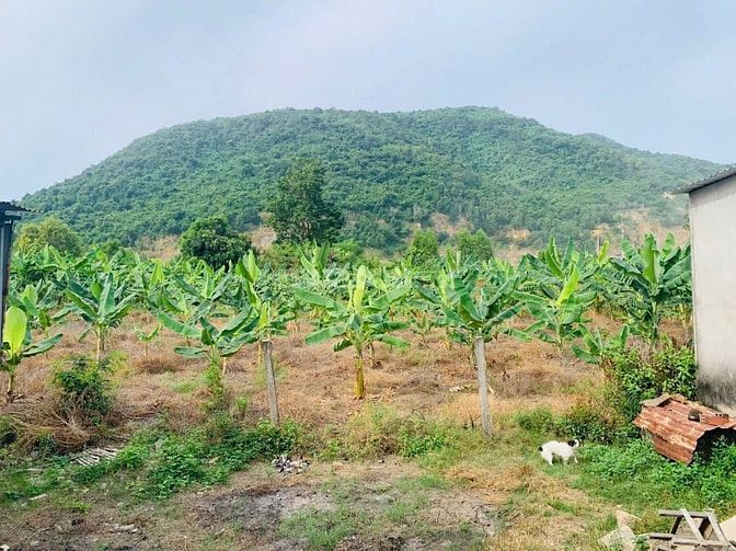 Bất Động Sản Dòng Tiền ❗️Bán đất Châu Pha, giáp ranh Tân Hưng, Bà Rịa