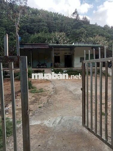 ĐẤT NGỘP GIÁ RẺ THÔN 9 TÂN LẠC