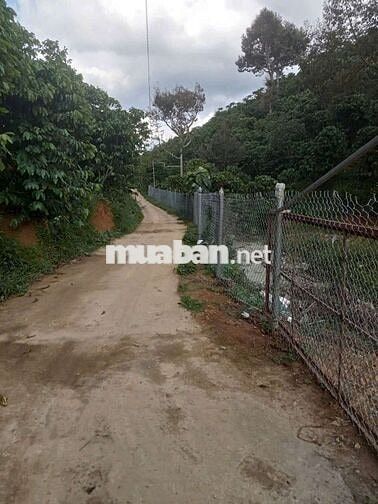 ĐẤT NGỘP GIÁ RẺ THÔN 9 TÂN LẠC