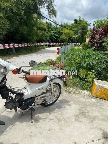 Cub 50cc  xe có bững giấy tờ đầy đủ.. máy móc ok