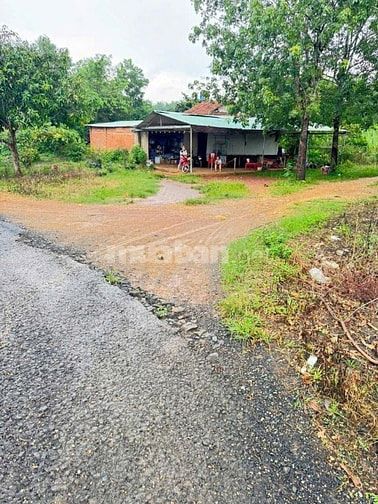 Cơ hội đầu tư đất lớn tại Tân Phước – Đồng Phú 70000m2, 55 tỷ