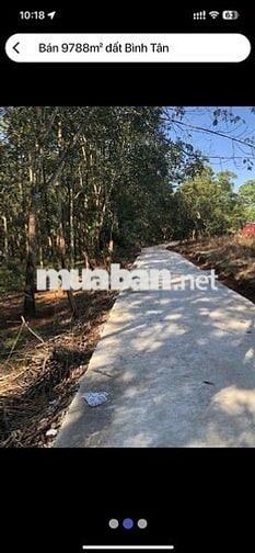 đất sổ đỏ, xã Bình Tân, huyện Phú Riềng, tỉnh Bình Phước