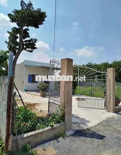 nhà vườn chủ ngộp cần ra nhanh ngay tại Bình Dương