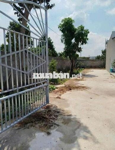 nhà vườn chủ ngộp cần ra nhanh ngay tại Bình Dương
