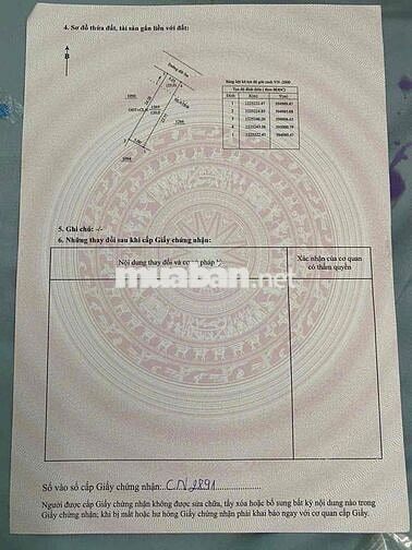 BÁN ĐẤT GÓC 2 MẶT TIỀN – TÂN ĐỊNH, BẾN CÁT, BÌNH DƯƠNG