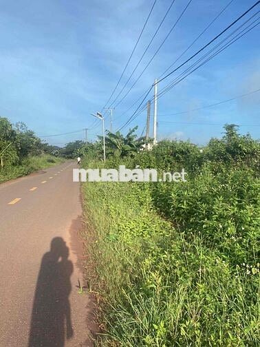 81m mặt tiền đường nhựa tân lâm xuyên mộc
