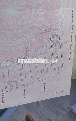 NHÀ ĐẸP 5 TẦNG HOÀN CÔNG – VỊ TRÍ VIP BÙI MINH TRỰC, Q.8 –60m2- 8,7 TỶ