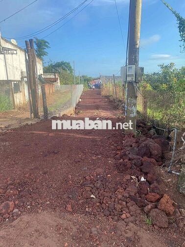81m mặt tiền đường nhựa tân lâm xuyên mộc