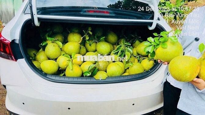 Chính chủ cần bán 2 lô đất vườn Tân Lâm, SH công chứng, giá 1,5tỷ full