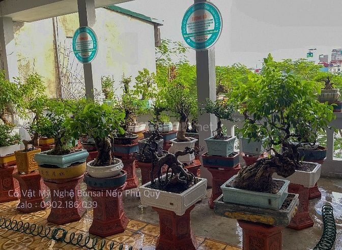 Bán đất tặng Nhà Cũ mặt hồ Linh Quang phố Khâm Thiên, mặt tiền rộng 6m