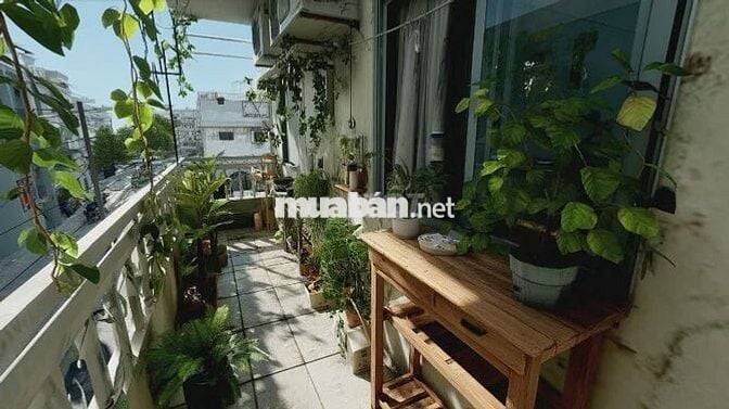 Tìm nữ ở ghép, phòng 30m2, Phan Đình Phùng, Phú Nhuận