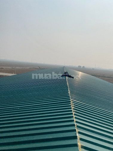 Nhận làm mái tôn,thay máng inox tại Hà Nội