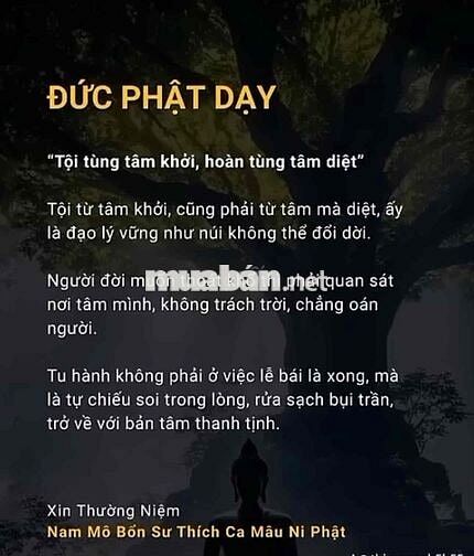 cho thuê kho xưởng đường Đào Trí 57.000m2 giá 70k/m2
