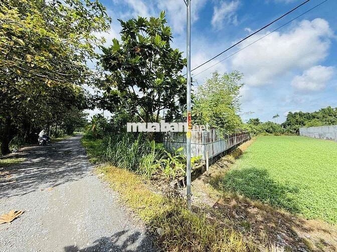 🌳 ĐẤT VƯỜN NGANG KHỦNG 19,2M – 955M² – VIEW SÔNG THOÁNG MÁT – 6TỶ