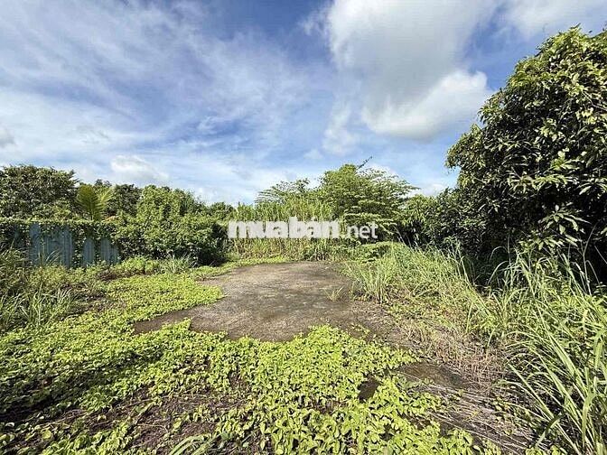 🌳 ĐẤT VƯỜN NGANG KHỦNG 19,2M – 955M² – VIEW SÔNG THOÁNG MÁT – 6TỶ