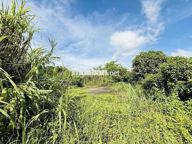 🌳 ĐẤT VƯỜN NGANG KHỦNG 19,2M – 955M² – VIEW SÔNG THOÁNG MÁT – 6TỶ
