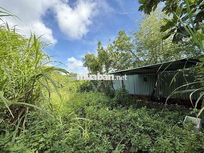 🌳 ĐẤT VƯỜN NGANG KHỦNG 19,2M – 955M² – VIEW SÔNG THOÁNG MÁT – 6TỶ