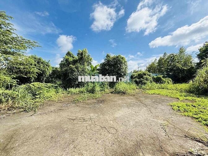 🌳 ĐẤT VƯỜN NGANG KHỦNG 19,2M – 955M² – VIEW SÔNG THOÁNG MÁT – 6TỶ