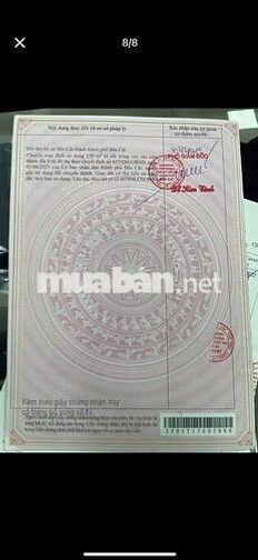 Bán lô đất tại Chánh Phú Hòa bến cát 
Bình Dương DT 554m2
Có 120m2 tc