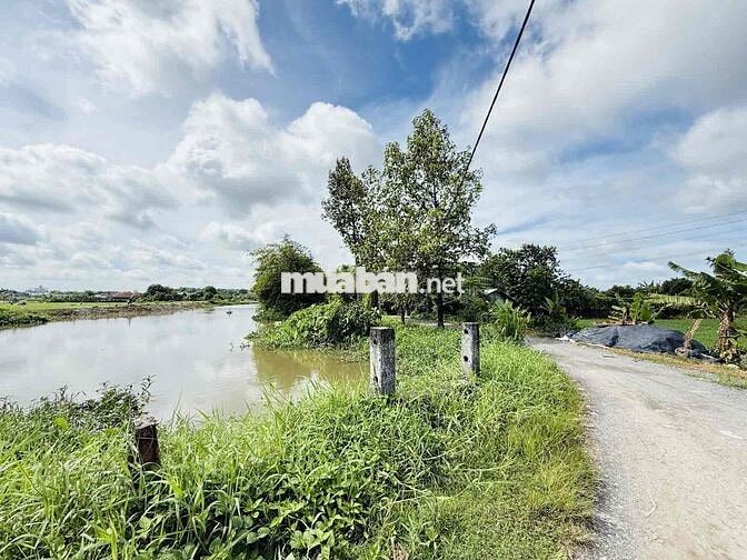 🌳 ĐẤT VƯỜN NGANG KHỦNG 19,2M – 955M² – VIEW SÔNG THOÁNG MÁT – 6TỶ