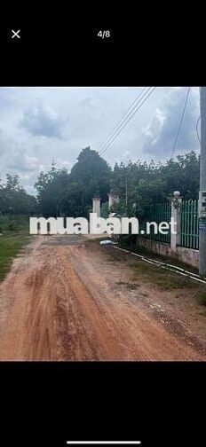 Bán lô đất tại Chánh Phú Hòa bến cát 
Bình Dương DT 554m2
Có 120m2 tc