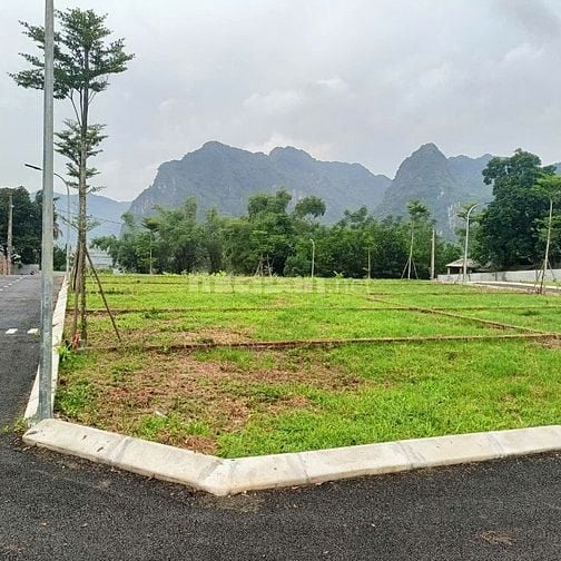 Siêu phẩm đất nền Hòa Bình chỉ 8 triệu/m² –có phải cơ hội đầu tư cuối?