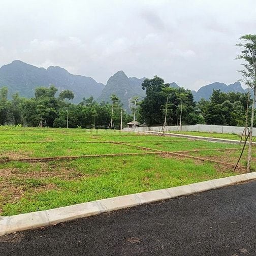 Siêu phẩm đất nền Hòa Bình chỉ 8 triệu/m² –có phải cơ hội đầu tư cuối?