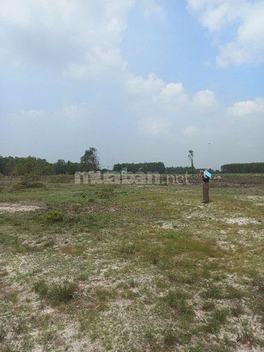 CTY ĐẤU GIÁ HỢP DANH TRỰC TUYẾN VIỆT NAM (VNOA) TỔ CHỨC ĐẤU GIÁ