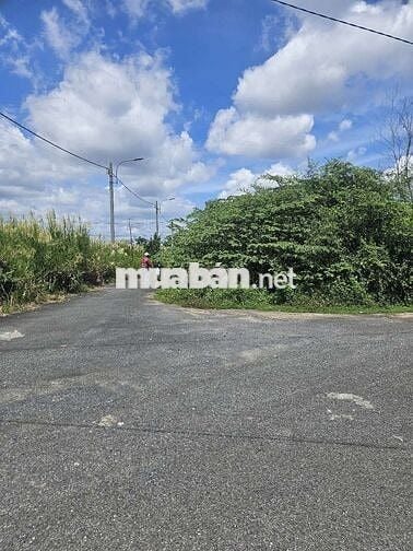 Đất mặt tiền đường nhựa full thổ 820tr thương lượng