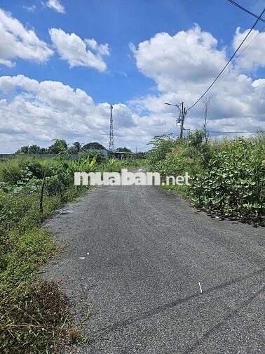 Đất mặt tiền đường nhựa full thổ 820tr thương lượng