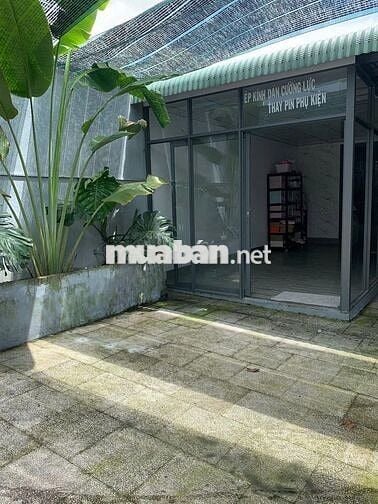 CHO THUÊ MẶT BẰNG PHƯỜNG TÂN BIÊN GIÁ 3 TRIỆU