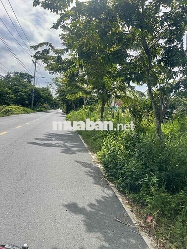 BÁN ĐÂT MẶT TIỀN ĐƯỜNG NGÔ QUANG THẮM - NHƠN ĐỨC - NHÀ BÈ- GIÁ 7,3 TỶ