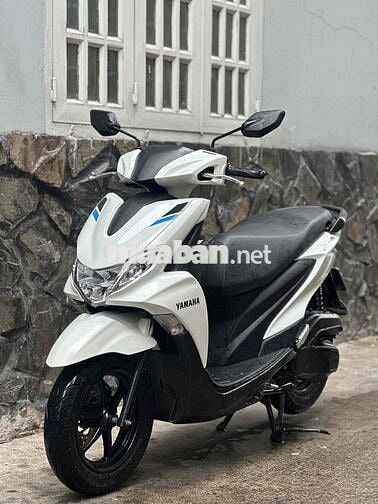 Bán Freego đời 2023 xe lướt ít đi ( Biển số TP )