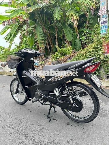 wawe @ 2023 Kiểng