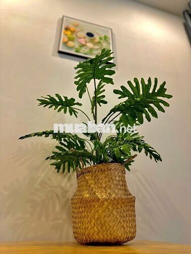 NGUYỄN KHOÁI QUẬN 4-PHÒNG TÁCH BẾP- SIÊU RỘNG- NỘI THẤT MỚI