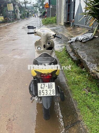 bán kymco 50cc cho các em đi học