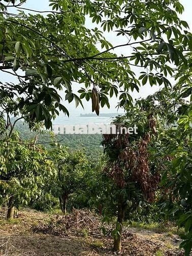 Vườn nghỉ dưỡng cạnh hồ Trị An, view đồi thoáng đãng, giáp suối