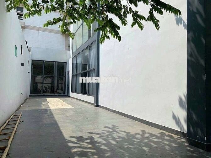 Nhà thuê Cách Mạng Tháng 8, Phường 5, Quận Tân Bình