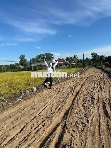 bán 5 công ruộng cách lộ 4m 300m