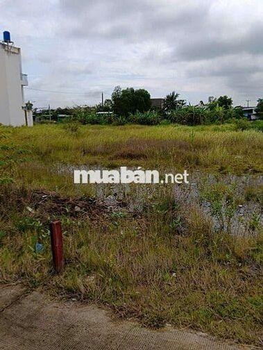 🏡 Bán đất Cần Đước – Long An, gần Quốc lộ 50