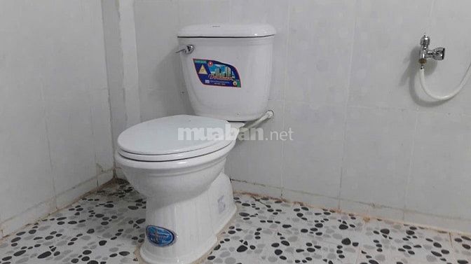 Cho thuê nhà và đất để canh tác