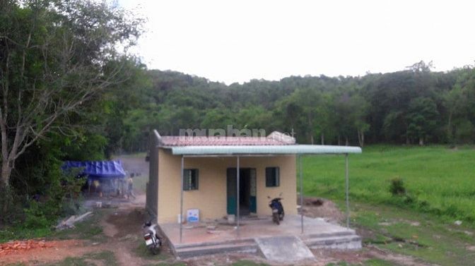 Cho thuê nhà và đất để canh tác