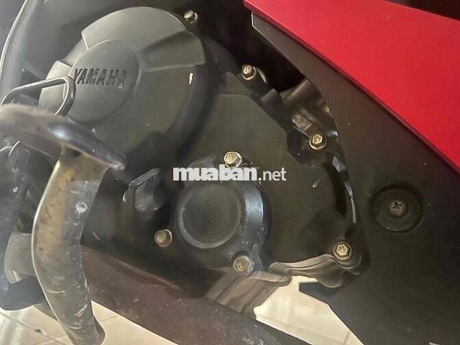 mx king 2019 đẹp