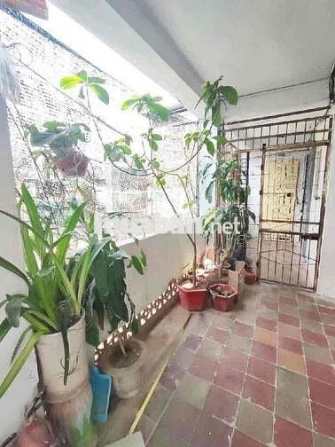 🌹 TẬP THỂ TÂN MAI - NGUYỄN CHÍNH ✨ Sổ to 41M2/ sử dụng ~ 80m2 – 3 ngủ