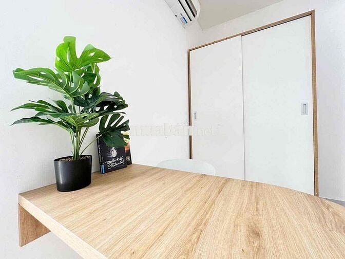 chdv Full nt thang máy hxh 78 cộng hoà tân bình