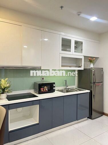 Cho thuê 1PN full nội thất chỉ 17 triệu Vinhomes Central Park