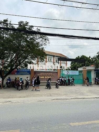 🏠 Nhà cho thuê Trung Đông 11,gần trường Tam Đông 1,Thới Tam Thôn 🏠