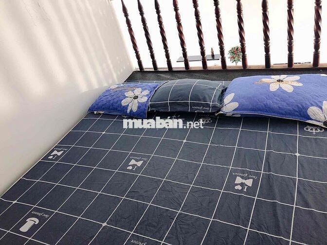 Cho thuê căn hộ duplex mini chung cư  134 Trần Hưng Đạo Q1,  30m2