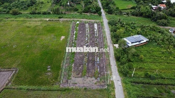 Đất củ chi chính chủ (Giá: 4tỷ850  - TL) - LH: *** (A.Bằng)