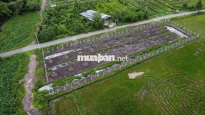 Đất củ chi chính chủ (Giá: 4tỷ850  - TL) - LH: *** (A.Bằng)